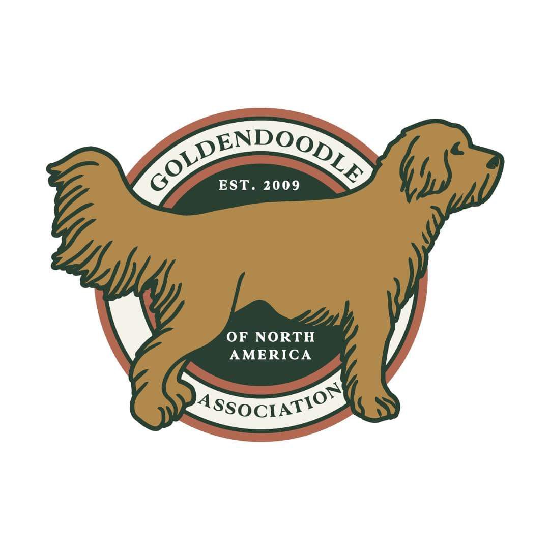 Goldendoodle pedigree hot sale